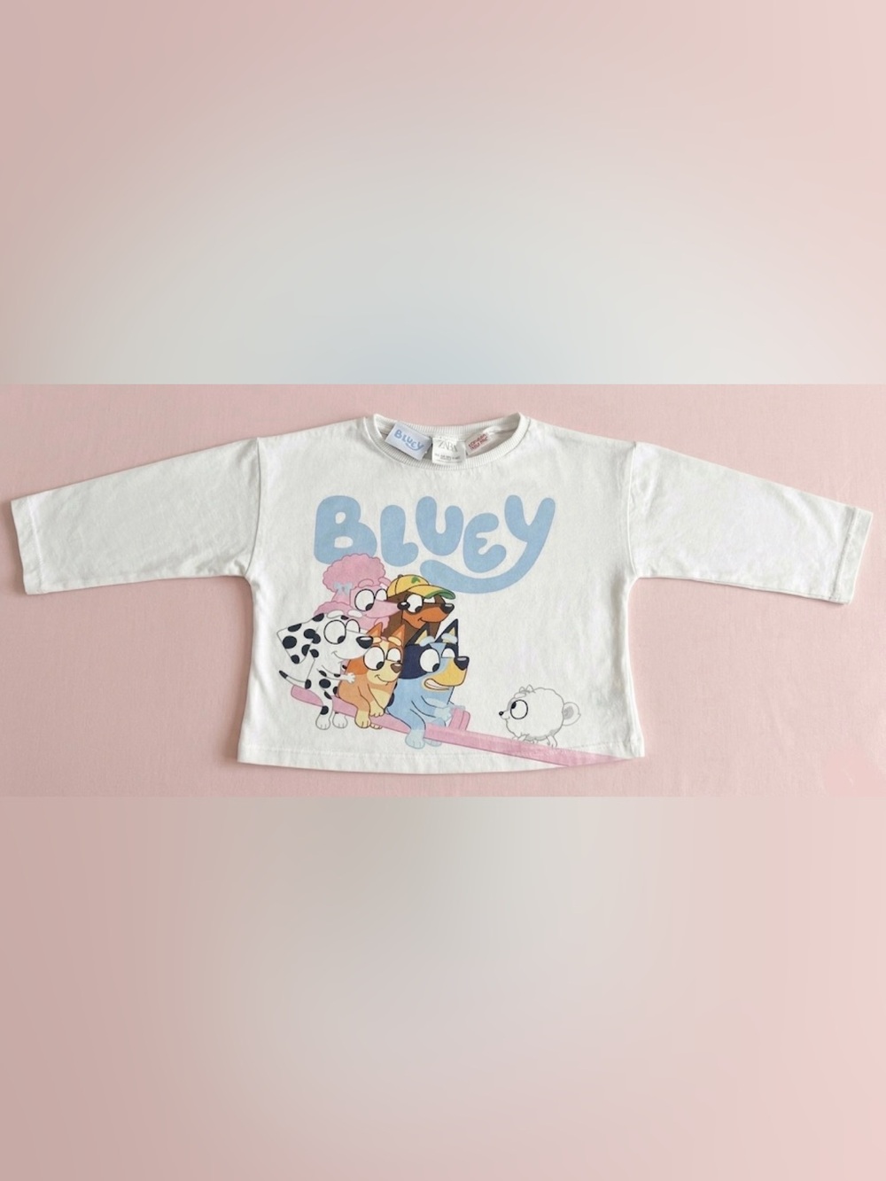 Zara girl’s Bluey long-sleeve t-shirt features a graphic print.  Size 12-18M